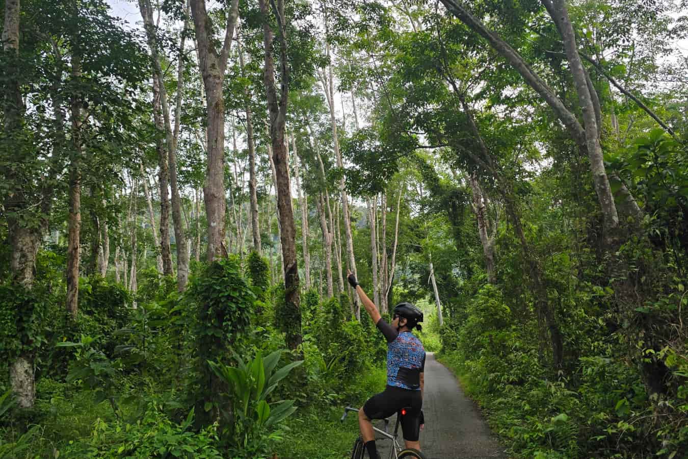 Langkawi Paddy Field Countryside Cycling Tour